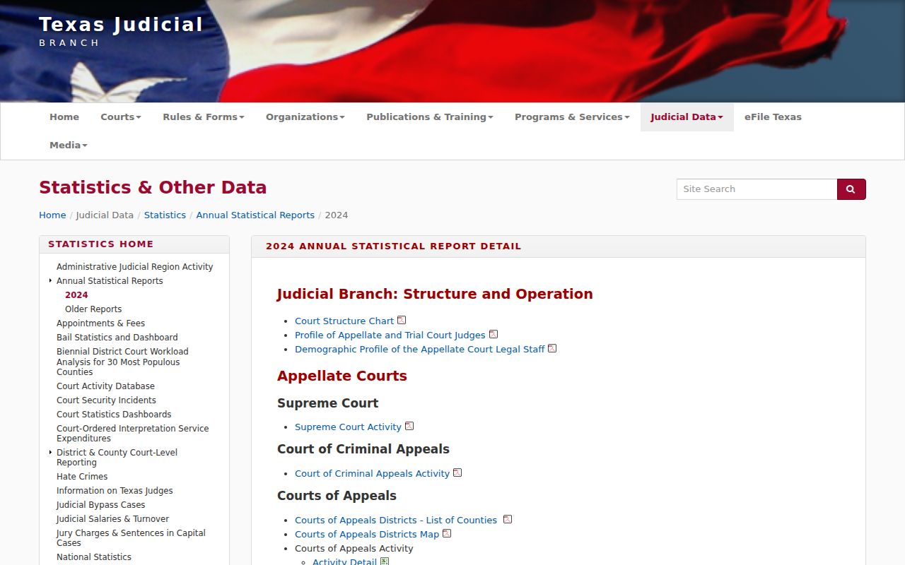 Brewster County civil court docket context in Texas annual court statistics